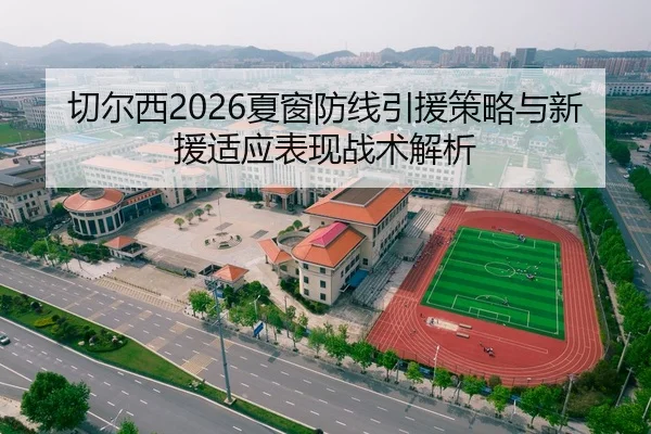切尔西2026夏窗防线引援策略与新援适应表现战术解析